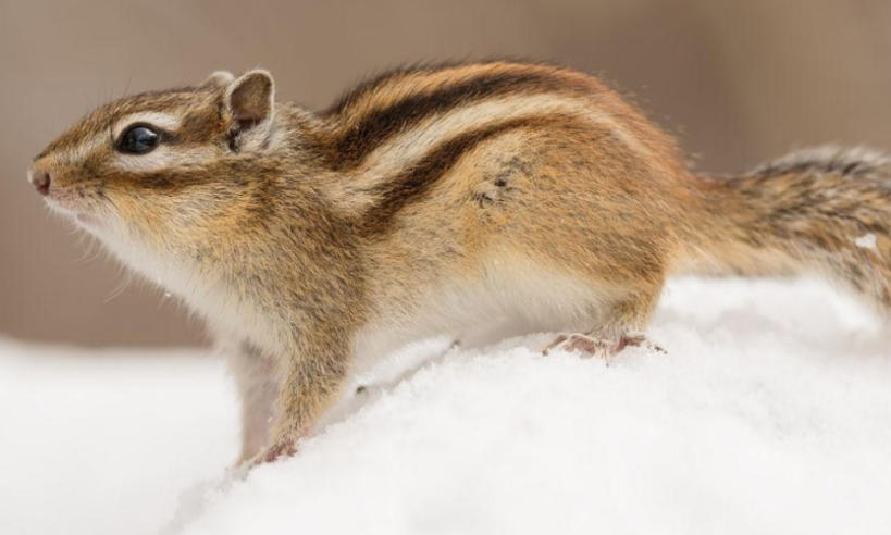 淮淮安钢管有限公司轮播图4