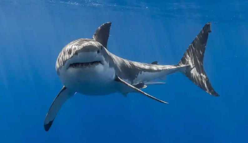 淮淮安钢管有限公司轮播图1