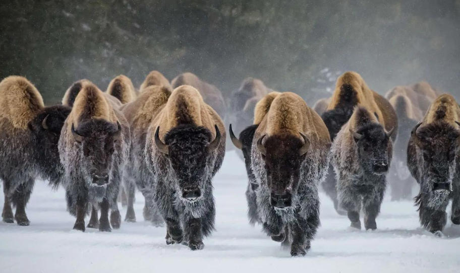 淮淮安钢管有限公司轮播图1